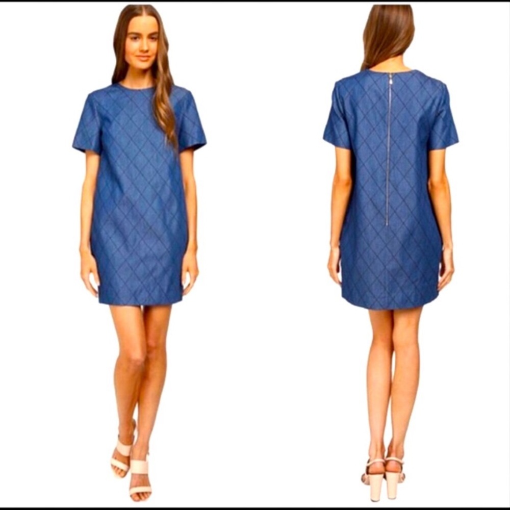 Adorable Denim Kate Spade Dress
